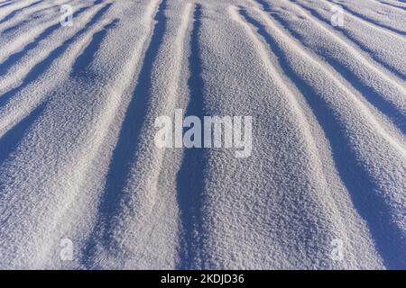 Linien im Schnee mit Sonne und Schatten Stockfoto