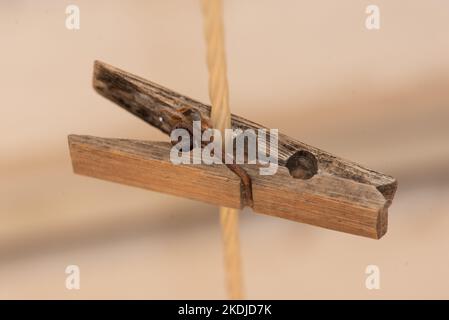 Eine Linie aus alten Holzklammern an einer Nylon-Wäscheleine mit rostigen Metallfedern bilden eine attraktive Anordnung vor einem dunklen und cremigen Hintergrund Stockfoto