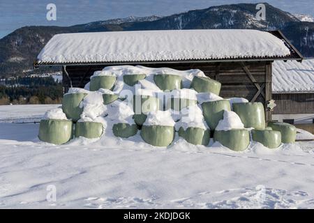 Im Winter vor einer Holzhütte werden grüne, gerade Ballen im Schnee eingewickelt Stockfoto