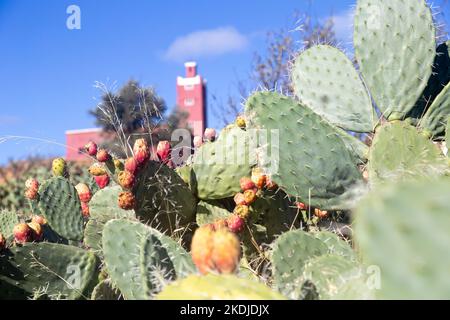 Kleines mittelalterliches Dorf zwischen Marrakesch und Amizmiz in Marokko Stockfoto