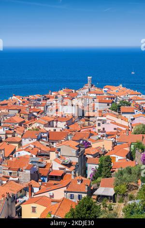 Altstadt von Piran an der Adria in Slowenien. Blick über rot geflieste Häuser zum Meer. Stockfoto