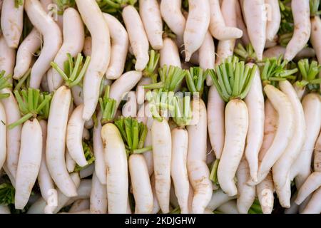 Frische Radieschen und Gemüse auf dem Frischmarkt Stockfoto