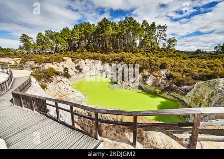 Des Teufels Bad Pool im Waiotapu Thermal Reserve, Rotorua, Neuseeland Stockfoto