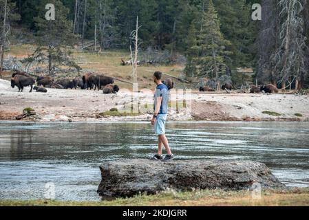 Explorer mit Blick auf Bisons, während Sie am See im berühmten Yellowstone Park stehen Stockfoto