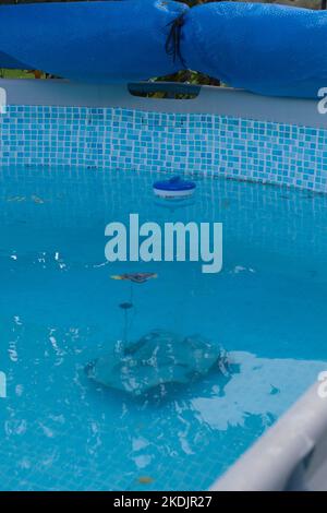 Der Roboter wird am Boden des Pools platziert, ein Chlordiffusor befindet sich auf der Oberfläche. Der Wasserstand ist niedrig, der Pool wird für die Überwinterung vorbereitet Stockfoto