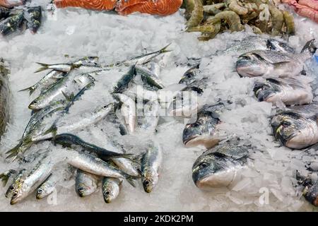 Fang von Fisch, der auf einem Markt in Barcelona, Spanien, verkauft wird Stockfoto