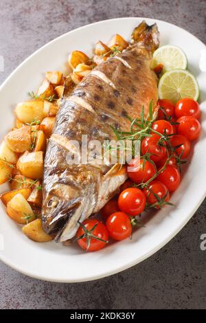 Gebackene ganze arktische Fischkoks, serviert mit gebratenen Kartoffeln, Kirschtomaten und Limette aus nächster Nähe auf einem Gericht auf dem Tisch. Vertikal Stockfoto