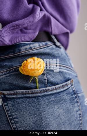 Gelbe Rose in der Tasche der Damenjeans. Frühjahrskonzept Stockfoto