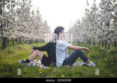 Das schöne junge Paar erklärt in einem blühenden Apfelgarten mit einem Lächeln auf den Gesichtern ihre Zuneigung, Zweisamkeit und Liebe. Ein echtes Paar. Stockfoto