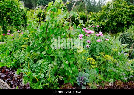 Gemüsegarten im Potager-Stil - John Gollop Stockfoto