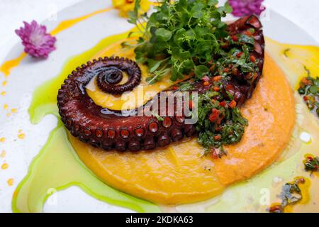 Gegrillter Tintenfisch-Tentakel, in Sauce und mit Kräutern, auf weißem Hintergrund Stockfoto