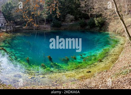 Schöner und tiefer kleiner See mit Quelle auf dem Boden und schönen grünen und blauen Farben namens Blautopf in Deutschland Stockfoto