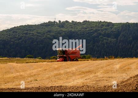 Red Mähdrescher in einem goldenen Feld gegen Wald und Zellenturm gesetzt Stockfoto