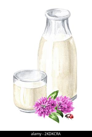 Flasche und Glas Milch. Handgezeichnete Aquarellillustration, isoliert auf weißem Hintergrund Stockfoto