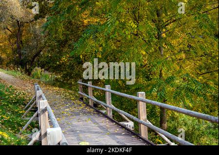 Holzbrücke für Fußgänger neben einer Straße im Grünen im Herbst, Herbst Naturlandschaft Stockfoto