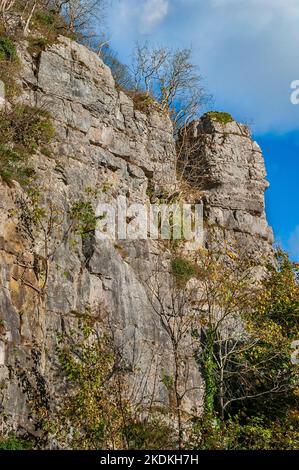 Hohe Kalksteinfelsen, teilweise bebaut, mit Höhleneingängen und künstlichen Eingängen für Bleiminen, in Middleton Dale, Stoney Middleton, Peak District. Stockfoto