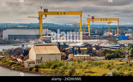 Samson und Goliath Stockfoto