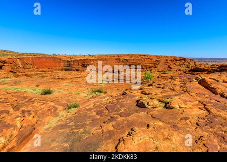 Trekkinggebiet in einem trockenen Gebiet und rotem Sandstein mit spektakulärer Wüstenlandschaft des Kings Canyon, Australien Outback Red Centre, Northern Territory. Stockfoto