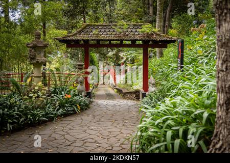 Monte Palace Gardens, Monte, Funchal, Madeira, Portugal. Stockfoto