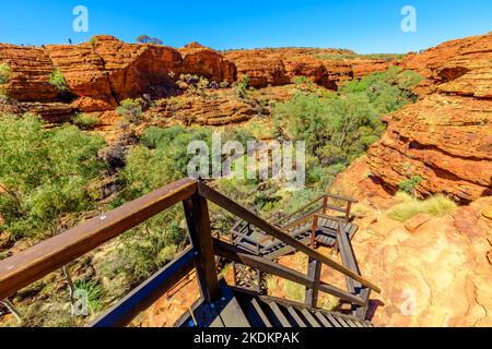 Treppen am Kings Canyon führen hinunter zum Garden of Eden, Watarrka National Park, Northern Territory. Luftige, zerklüftete Landschaft, roter Sandstein, Gummibäume Stockfoto