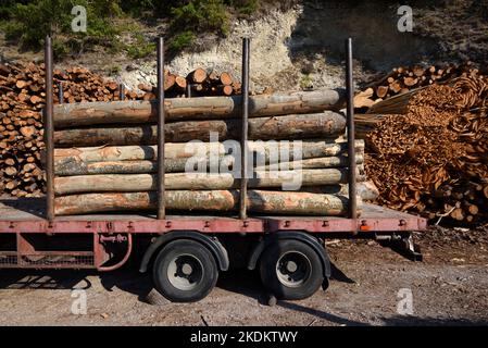 LKW, Anhänger oder LKW mit Holzschnitt, Holz- oder Baumstämmen Stockfoto