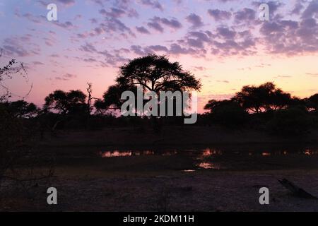 Africa Dawn - Afrikanischer Sonnenaufgang mit Halbmond über dem Kwai River, Moremi Game Reserve, Okavango Delta, Botswana Africa. Afrikanische Landschaft Stockfoto
