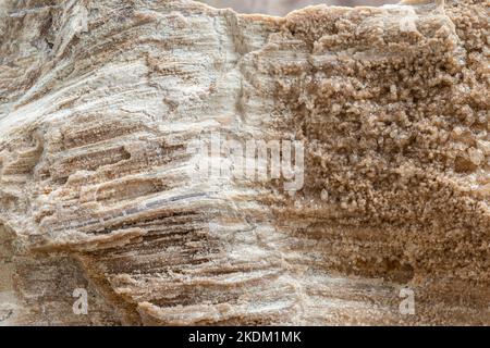 Fossillized versteinerter Holzstamm mit Quarzkristallen Hintergrund in natürlicher Beleuchtung Stockfoto