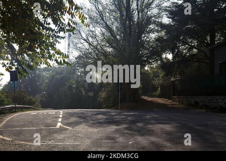 Gabelung zwischen einer Straße und einem Feldweg in einem Wald auf der Spitze eines Berges im Herbst Stockfoto