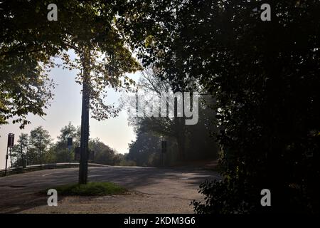 Straße in einem Wald auf dem Gipfel eines Berges an einem sonnigen Tag Stockfoto