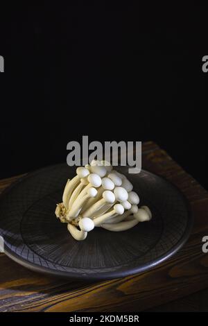 Frische, ungekochte, weiße Shimeji-Pilze aus Asien in einer Keramikschale auf dunklem Holzboden. Stockfoto