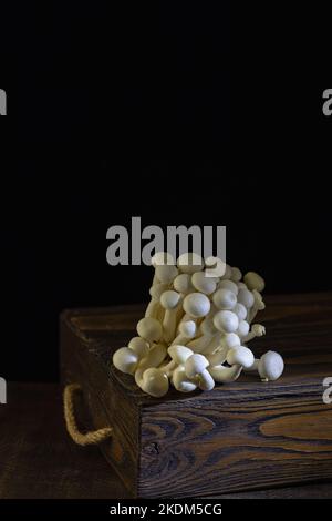 Frische, ungekochte, weiße Shimeji-Pilze aus Asien auf dunklem Holzgrund. Stockfoto