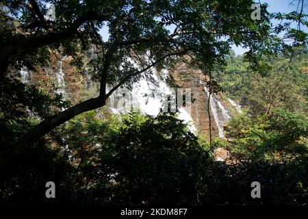 Der Wasserfall Tirathgarh befindet sich im Kanger Valley National Park. Eine weiße Kaskade, dies ist eine der wichtigsten Attraktionen von Jagdalpur Stockfoto