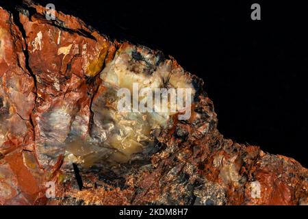 Wunderschönes versteinertes Holz des Regenbogenwaldes entlang des Giant Logs Trail, Petrified Forest National Park, Arizona, USA Stockfoto