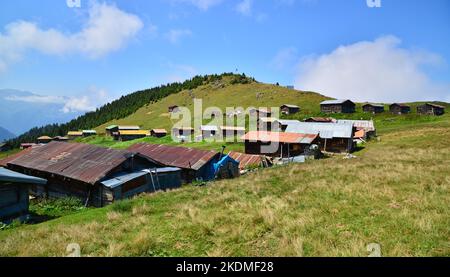 Das Sal Plateau in Rize, Türkei, ist ein wichtiges lokales Plateau. Stockfoto