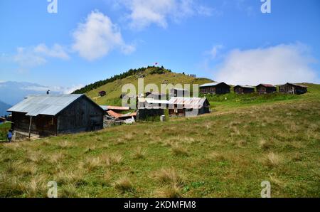 Das Sal Plateau in Rize, Türkei, ist ein wichtiges lokales Plateau. Stockfoto