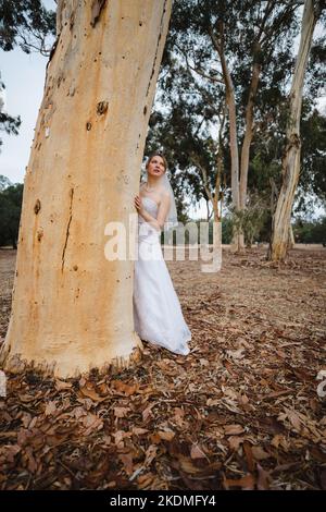 Entlaufende Braut in Eucalyptus Grove Stockfoto