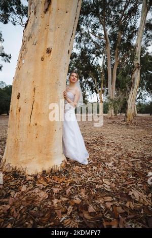 Entlaufende Braut in Eucalyptus Grove Stockfoto