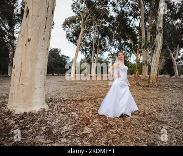 Entlaufende Braut in Eucalyptus Grove Stockfoto