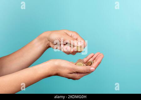 Weibliche Hände halten und zählen Euro-Münzen auf hellblauem Hintergrund Stockfoto