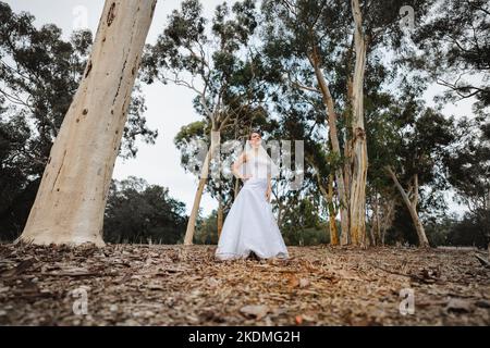 Entlaufende Braut in Eucalyptus Grove Stockfoto