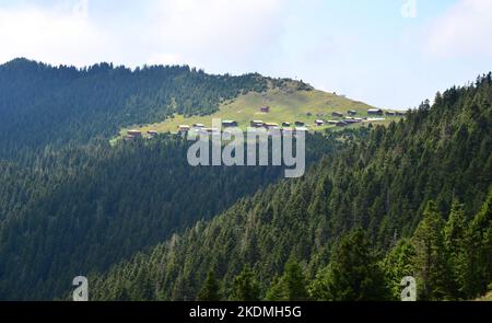 Das Sal Plateau in Rize, Türkei, ist ein wichtiges lokales Plateau. Stockfoto