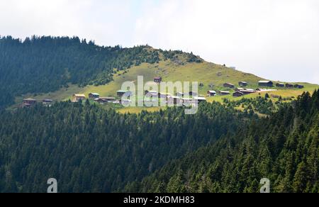 Das Sal Plateau in Rize, Türkei, ist ein wichtiges lokales Plateau. Stockfoto