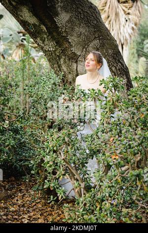 Braut schiebt gegen Eiche in einem Kaktusgarten Stockfoto