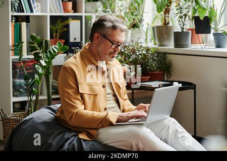 Seriöse reife Geschäftsmann in Casualwear und Brillen mit Laptop auf den Knien Networking im Büro, während auf weichen Tasche Stuhl sitzen Stockfoto