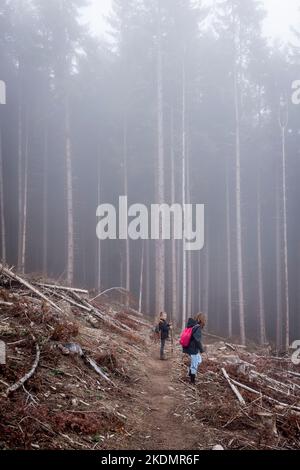 Zwei Kinder stehen im Herbst auf einem Weg durch ein nebeliges Waldgebiet in den Vogesen, Elsass, Frankreich. Stockfoto