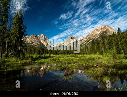 Frühsommer-Wildblumen im Sawtooth National Recreation Area in Idaho Stockfoto