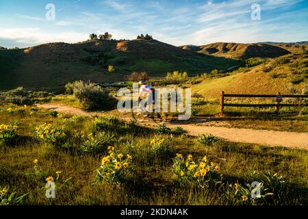 Mountainbiker im Military Reserve-Gebiet in den Boise Foothills, am späten Nachmittag. Stockfoto