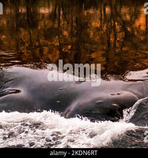 Herbstfarben an kleinen Stromschnellen am Boise River in Idaho. Stockfoto