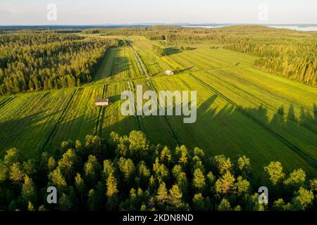 Eine Luftlinie aus alten und kaputten Heuscheunen inmitten von üppigem Grasland im sommerlichen Finnland an einem wunderschönen Abend Stockfoto