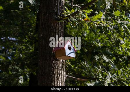 Ein Vogelnistkasten auf einem Baum. Farbenfrohe Vogelnistbox aus Holz. Stockfoto